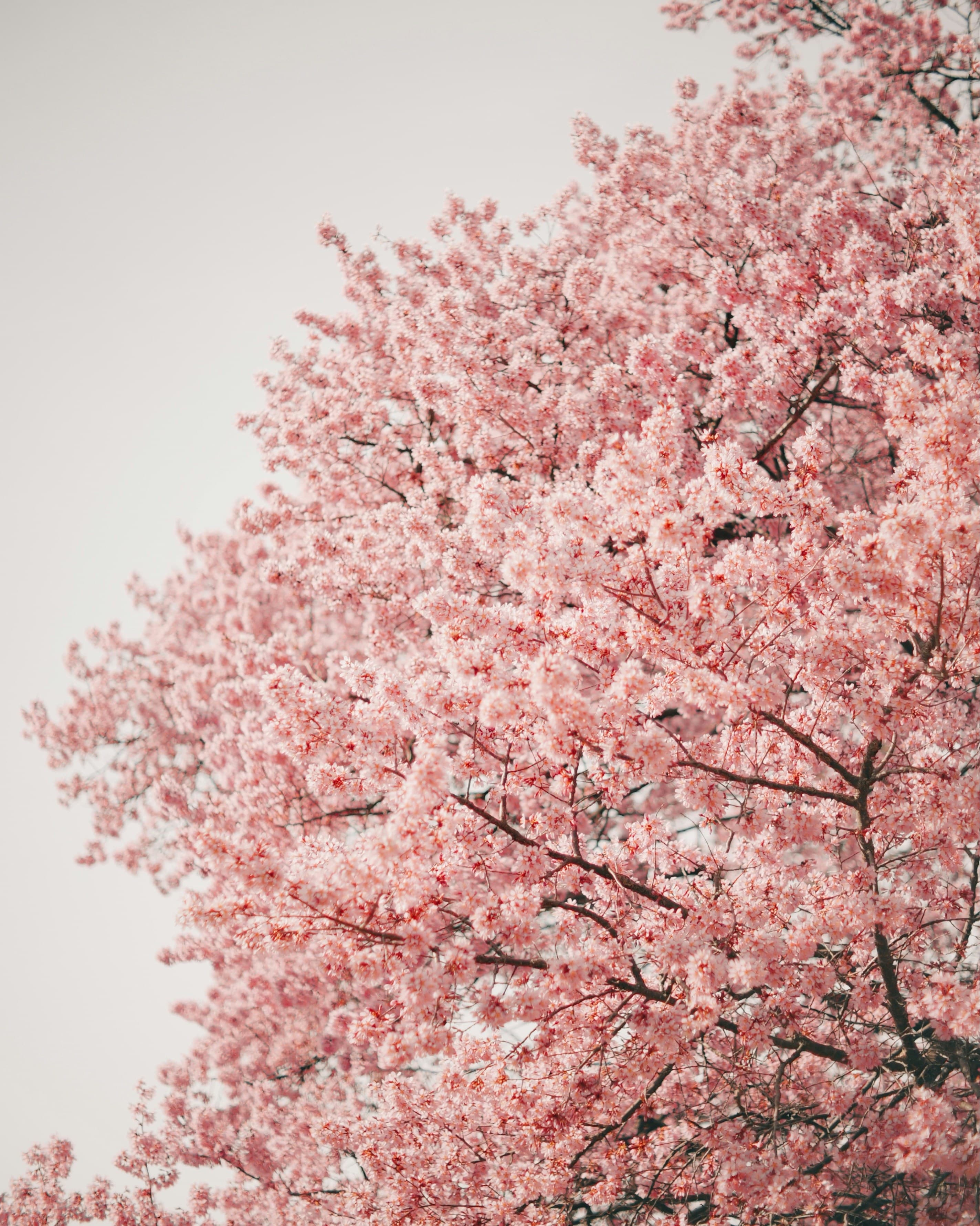 How I Stopped Chasing “General Hooks” and Started Solving Real Frontend Pain